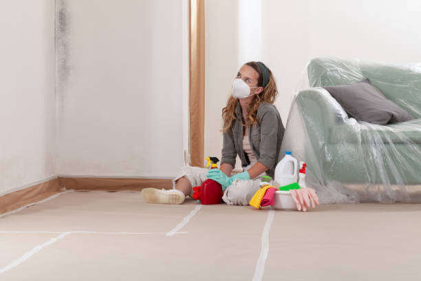 Reliable Mold Remediation contractor in Barrington, IL by 24 Hour Mold Removal